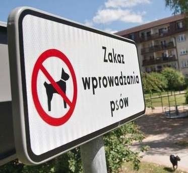 Czytelnik: pies załatwiał się na trawniku, a strażnicy nie zareagowali. (Zdjęcie poglądowe)