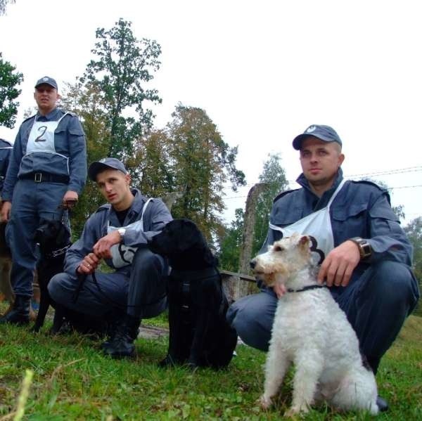 Coraz częściej narkotyków szukają foksteriery (z prawej), psy mniejsze od labradorów.