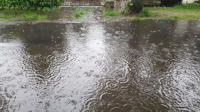Deszczowe dni nie sprzyjają mieszkańcom ul. Czorsztyńskiej w Poznaniu. Jak zwykle w czasie opadów ulica ta przypomina jezioro. Mieszkańcy skarżą się, że nie da się tam tędy przejść, a przejeżdżające samochody rozbryzgują wodę na kilka metrów. Zobacz, jak wygląda ul. Czorsztyńska w czasie deszczu.