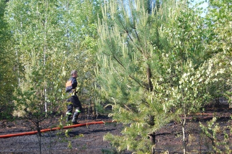 Pożar lasu koło Kurpiowskiej Krainy