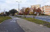 Ścieżka rowerowa. Nowy odcinek wzdłuż ulicy Berlinga (zdjęcia)