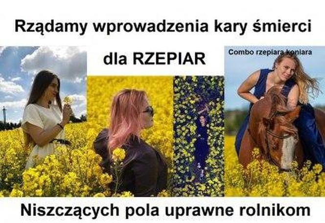 Rzepiary - to miano, jakim określa się fotografujące się...