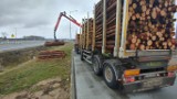 Przeładowana ciężarówka na podlaskich drogach. Zestaw przewożący drewno ważył o blisko 17 ton za dużo
