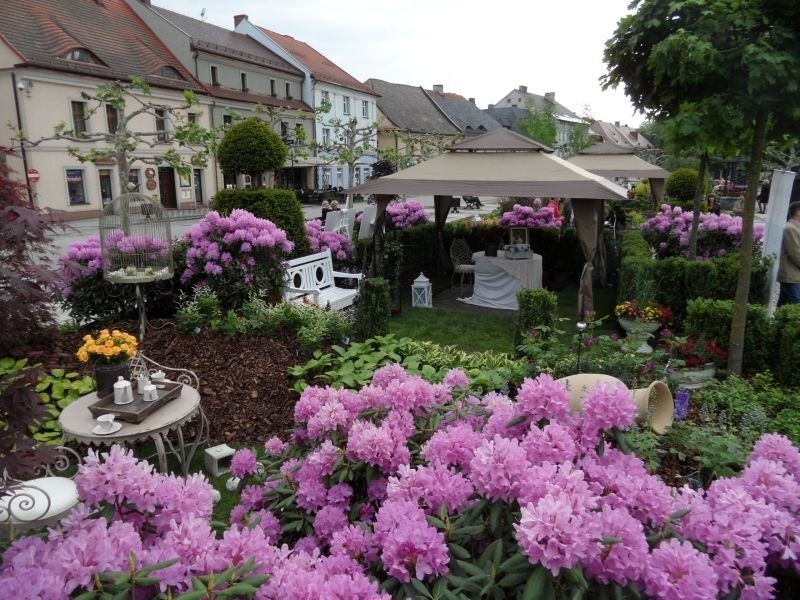 Daisy Days w Pszczynie: Ekspozycja ogrodów na rynku