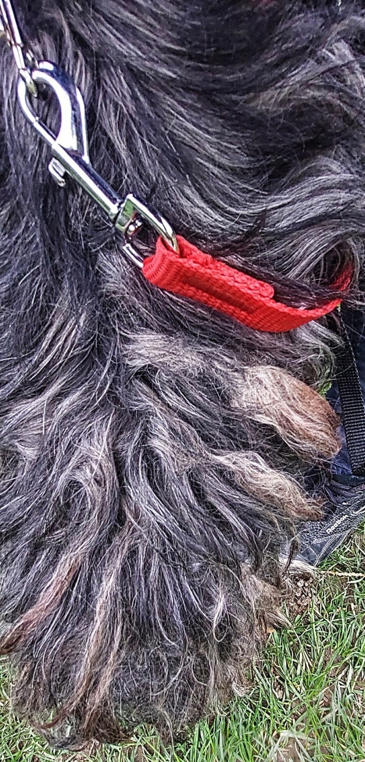 Wyrzucił psa w związanym worku na śmieci. Policja szuka...