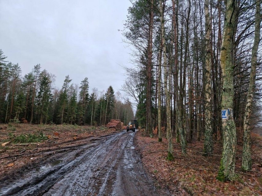 Leśnicy muszą przekazać teren pod budowę do końca marca