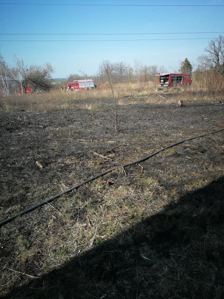Pożar traw pod Chwałkowem