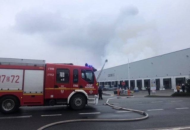Strażacy szukają źródeł ognia w magazynie dokumentów firmy Pika w Bielanach Wrocławskich.