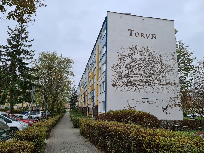 W Toruniu powstał nowy mural. Gdzie i co przedstawia? 