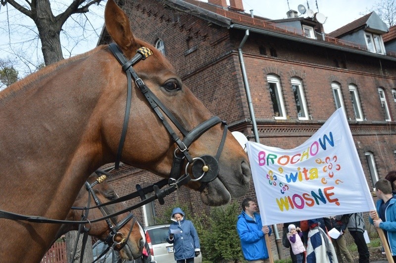 Powitanie wiosny na Brochowie