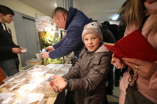 Giełda terrarystyczna w Centrum Kultury Śląskiej w Świętochłowicach