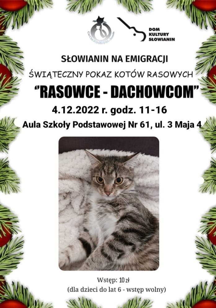 W niedzielę, 4 grudnia, w Szczecinie odbędzie się Świąteczny...