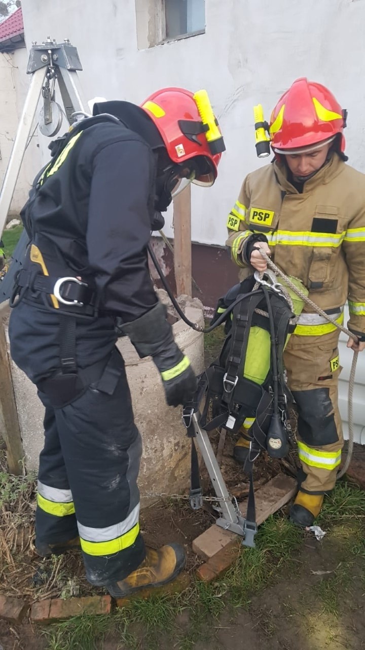 Kot utknął w studni głębokiej na 16 metrów! Uwolnili go strażacy z powiatu chełmińskiego