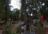 Uschnięte drzewa na Cmentarzu Starofarnym w Bydgoszczy pójdą do wycinki