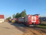 Potężny pożar na terenie fermy drobiu w Kłecku. Na miejscu były 24 zastępy straży pożarnej