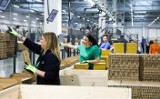 IKEA otwiera kolejną fabrykę w Lubuskiem. W Chlastawie będzie największy zakład w regionie 
