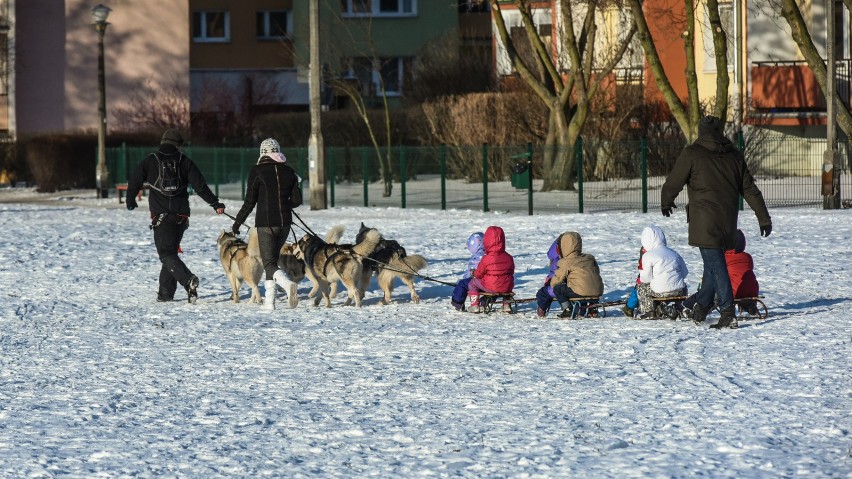 W czasie ferii dzieci się nudzą? Niekoniecznie! Atrakcji na...