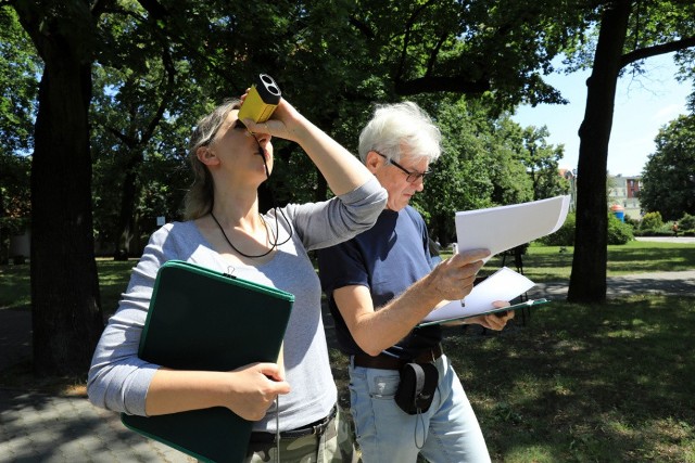 Dendrolodzy ponownie przeprowadzili ekspertyzę drzew przy Alei św. Jana Pawła II w Toruniu