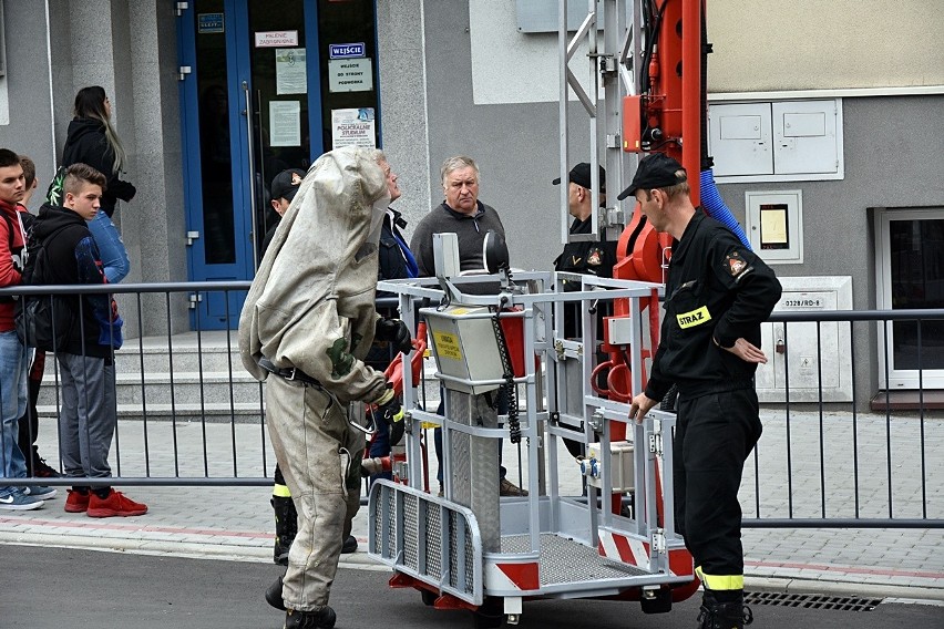 Strażacy PSP w Gorlicach pojechali nie do gniazda szerszeni, ale jaskółek! [ZDJĘCIA]