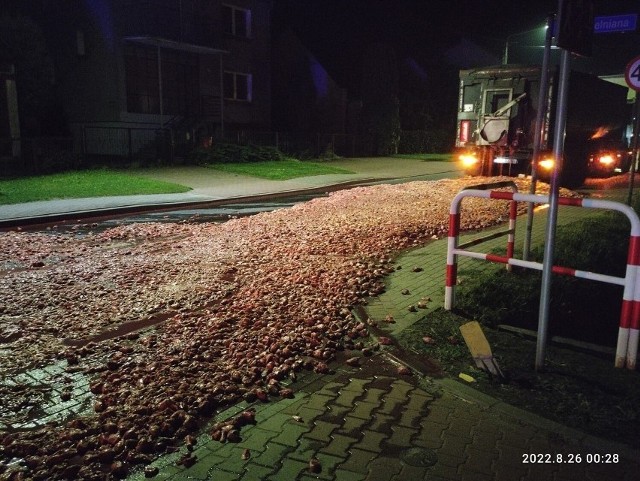 Do nietypowego zdarzenia doszło pod koniec sierpnia w Kowalewie w powiecie pleszewskim. Kilkanaście minut po północy z jadącej ciężarówki wyspało się kilka ton odpadów mięsnych z ubojni. Jak podkreślają mieszkańcy, zapach był nie do zniesienia. Choć od zdarzenia minęło już kilka dni, to nadal czuć w tym miejscu specyficzny zapach.Przejdź do kolejnego zdjęcia --->