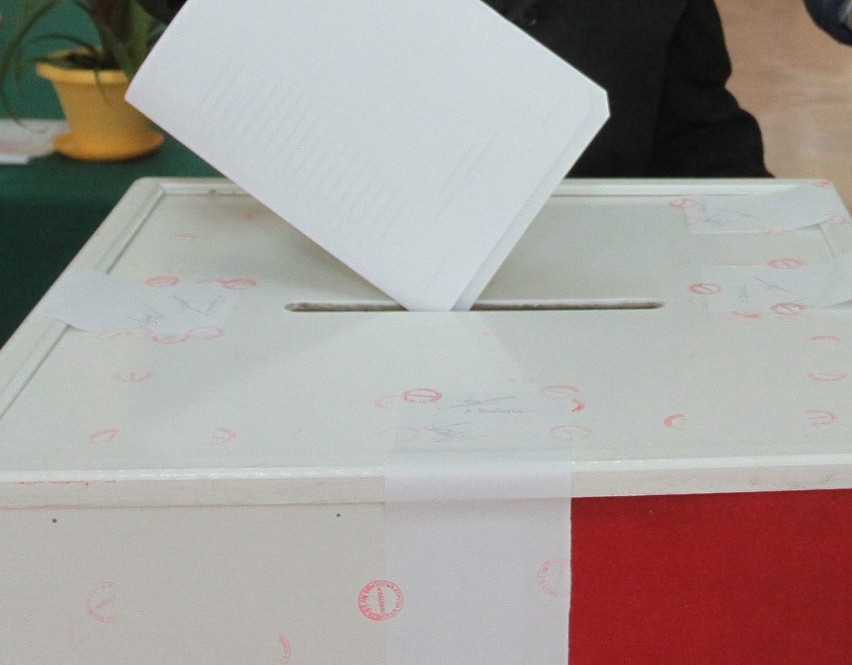 Wybory parlamentarne 2015. Znamy nazwiska nowych radomskich parlamentarzystów
