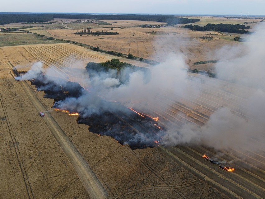 Do ogromnego pożaru pola pszenicy doszło w Tucznie.