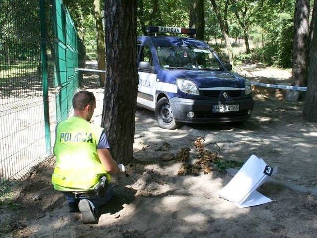 Policjanci zabezpieczyli znalezione w parku kości