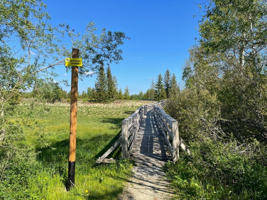 Na szlaku do źródeł Sanu. Świetny pomysł na letnią wycieczkę w Bieszczady [ZDJĘCIA]