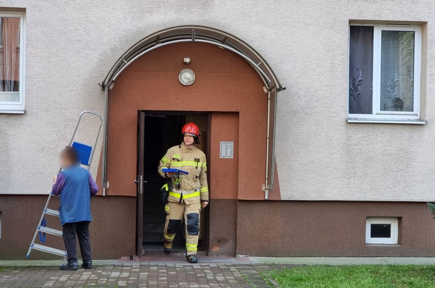 Zwłoki kobiety w mieszkaniu przy ul. Krasińskiego w Przemyślu [ZDJĘCIA]