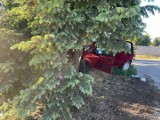 Wypadek w Michalicach koło Namysłowa. Kierowca nie opanował Citroëna C3 i uderzył w drzewo