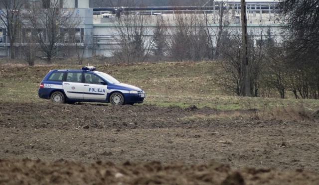 Zwłoki na polu w Michorzewku odnalazł myśliwy