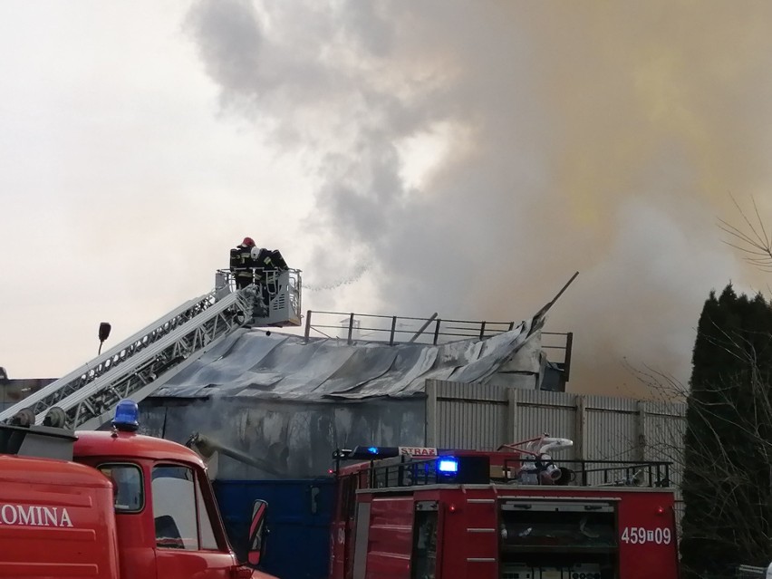 Duży pożar w gminie Bodzechów. Spłonęła hala zakładu produkującego meble (WIDEO, zdjęcia) 