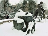 Park Kazimierza Wielkiego w zimowej scenerii [zdjęcia]