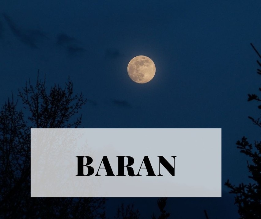 BARAN (21.03-19.04)...