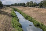 Kraków. Możliwe, że jednak nie będzie betonowania wałów Rudawy. Urzędnicy oddają głos mieszkańcom