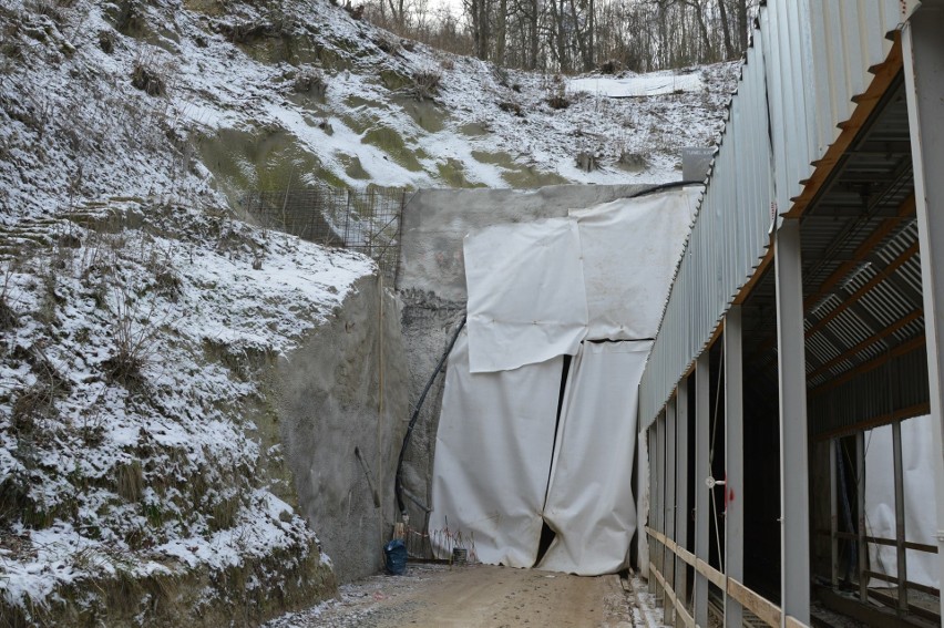 Widok tunelu od strony Trzcińska