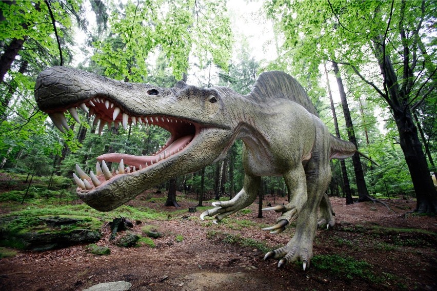 Dinopark w Szklarskiej Porębie to jedno z miejsc, w których...