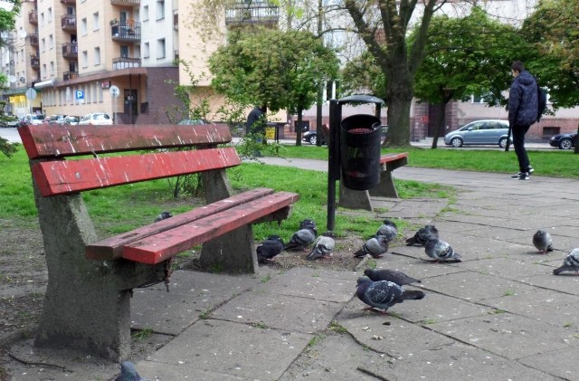 Zarząd Infrastruktury Miejskiej zapewnia, że ma w planach przebudowę skweru na placu Broniewskiego. Mieszkańcy chcą, by służył jako miejsce rodzinnego wypoczynku.