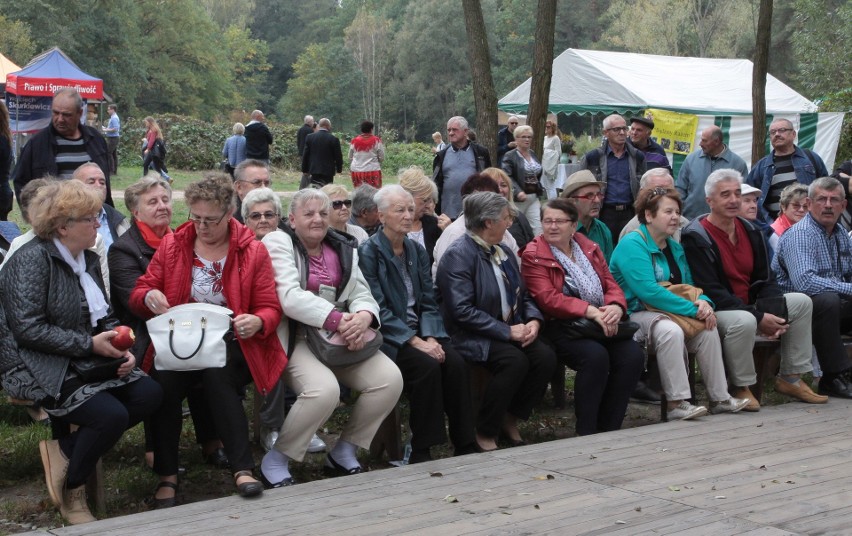 Tłumy smakoszy na Festiwalu Ziemniaka w Muzeum Wsi Radomskiej. Było wiele konkursów i pokazów [ZDJĘCIA]