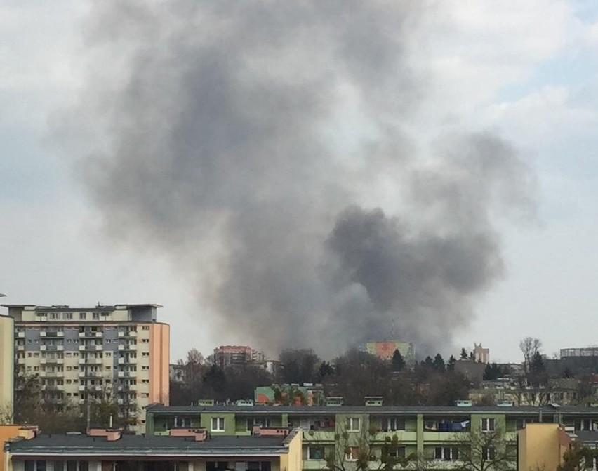 Słup dymu nad Radomiem. W okolicach ulicy Chorzowskiej paliły się łąki. Tylko w niedzielę kilkadziesiąt pożarów traw w Radomiu i powiecie