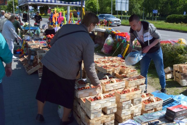 Truskawki nareszcie zaczynają tanieć. We wtorek, 31 maja na bazarach w Kielcach kilogram owoców z gruntu można było kupić po 10 złotych. To dwa razy taniej, niż tydzień temu.