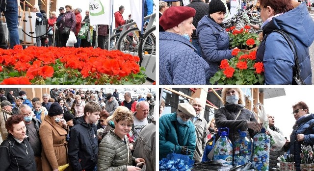 W ramach akcji "Bądź eko na wiosnę", którą pod Galerią Solną w Inowrocławiu zorganizowała 26 marca "Gazeta Pomorska", można było zamienić plastikowe nakrętki i butelki PET na sadzonki kwiatów