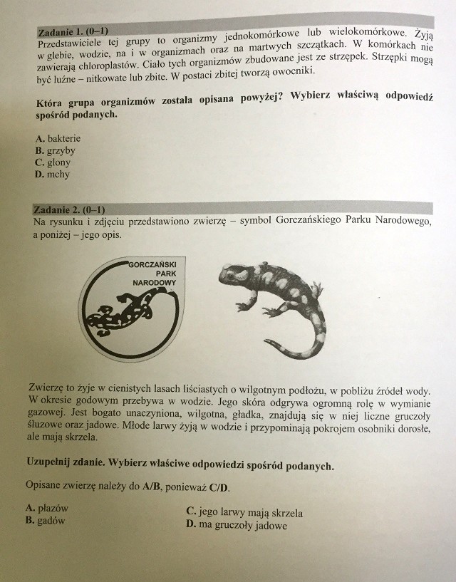 Egzamin gimnazjalny 2016. Dziś przyroda. Salamandra i prawdopodobieństwo  (ODPOWIEDZI, ARKUSZE CKE) | Gazeta Wrocławska
