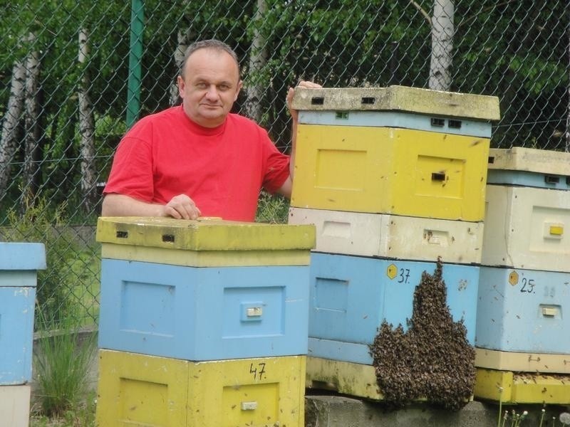 Pszczelarz z Grojca znów znów znalazł się wśród najlepszych w Polsce