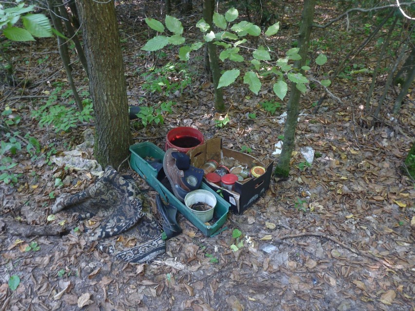Śmieci w lasach w regionie radomskim. Ze śmieciarzami walczą leśnicy, samorządowcy i mieszkańcy 