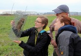 Gryzonie blisko granic Małopolski! Skąd się wzięły? Z Czech. Ale bez obaw - to sympatyczne chomiki