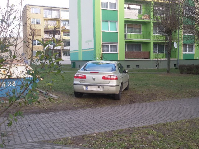 Autodrań zaparkował na trawniku w Sulechowie.