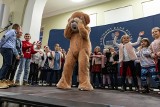 Mikołaj jest wśród nas. Wielka impreza dla dzieci w Narodowym Banku Polskim