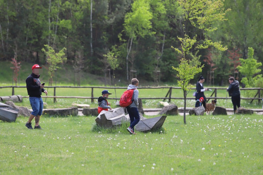 Park Gródek w Jaworznie podczas weekendu odwiedziły tłumy....