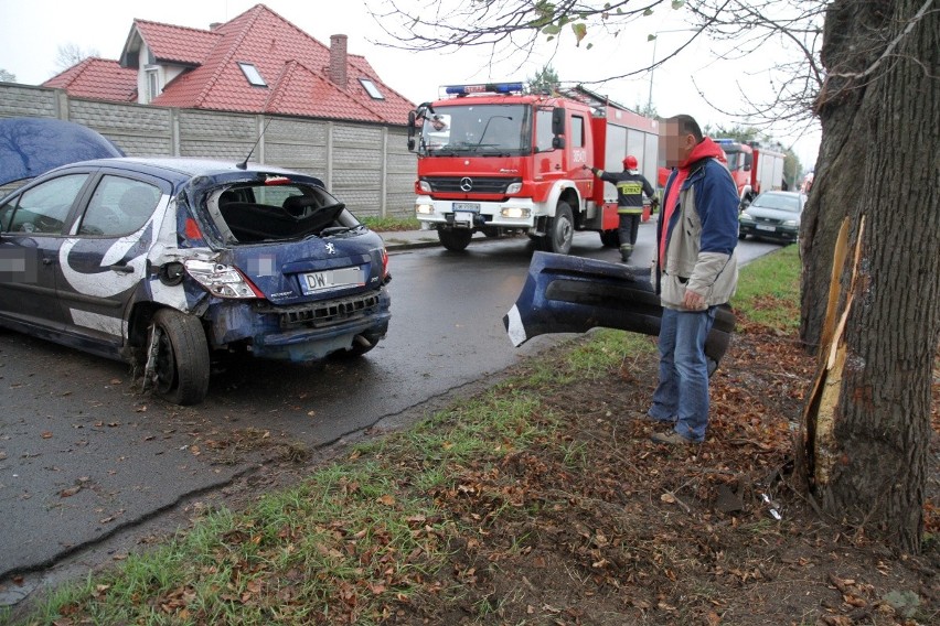 Wypadek w Krzyżanowicach. Auto z dwójką dzieci uderzyło w drzewo [ZDJĘCIA]